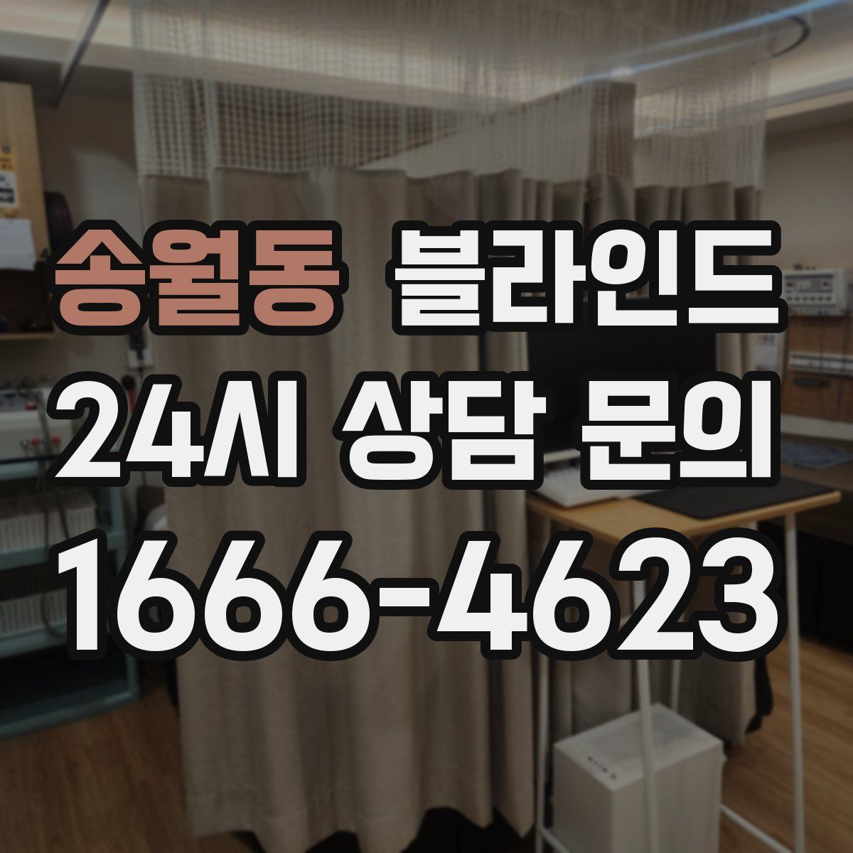 송월동 블라인드