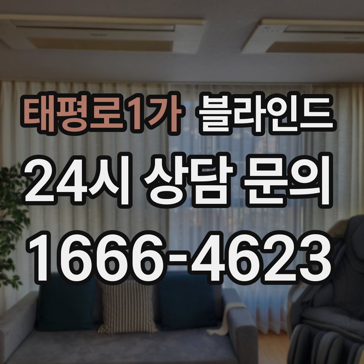 태평로1가 블라인드