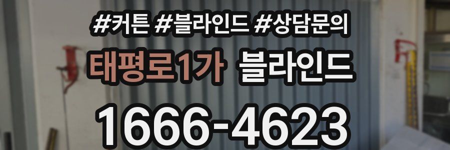 태평로1가 블라인드