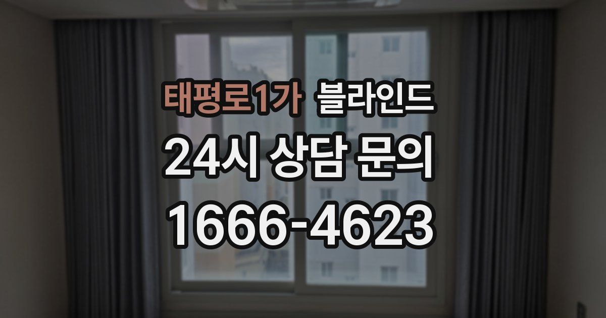 태평로1가 블라인드