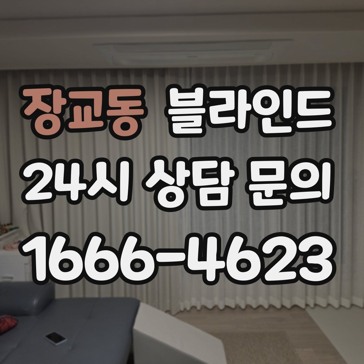 장교동 블라인드