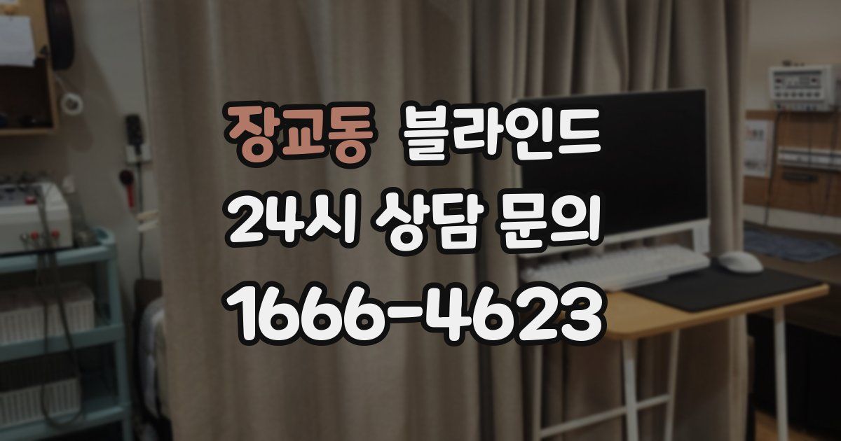 장교동 블라인드