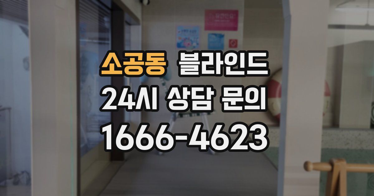 소공동 블라인드