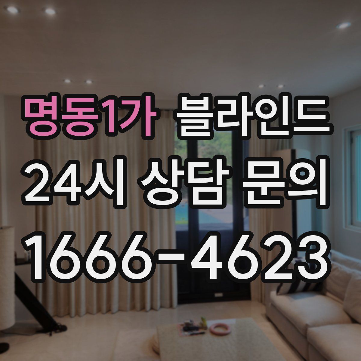 명동1가 블라인드