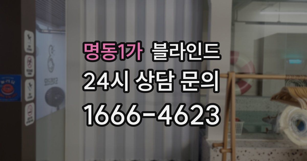 명동1가 블라인드