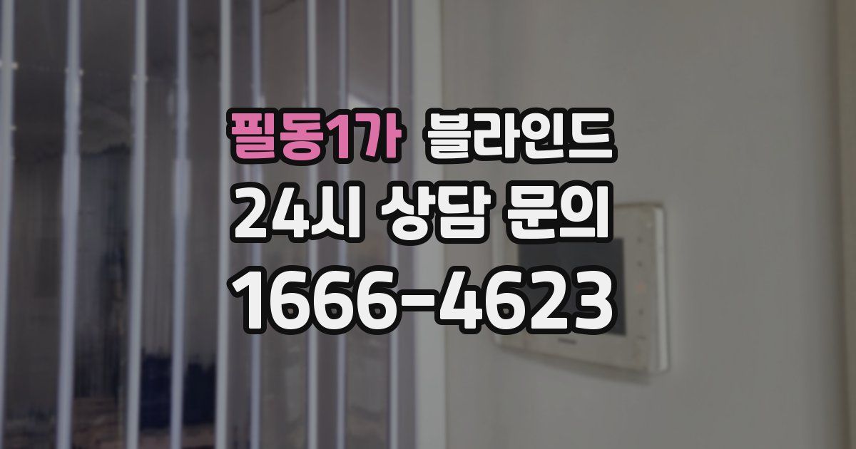 필동1가 블라인드
