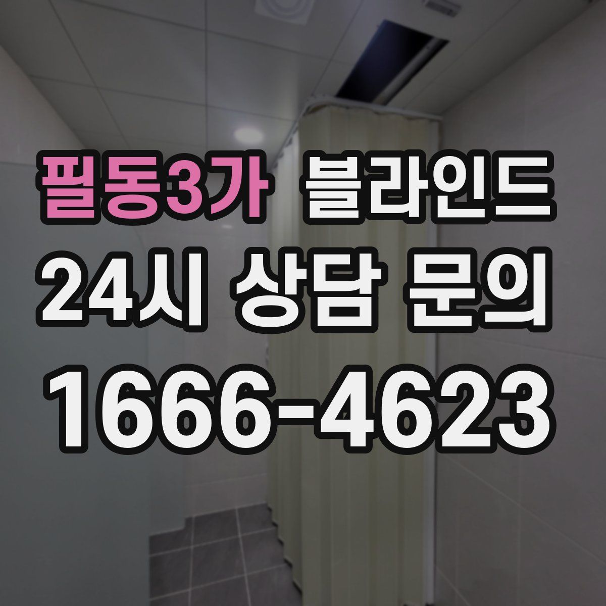 필동3가 블라인드