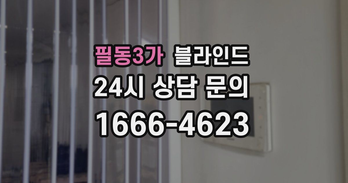 필동3가 블라인드