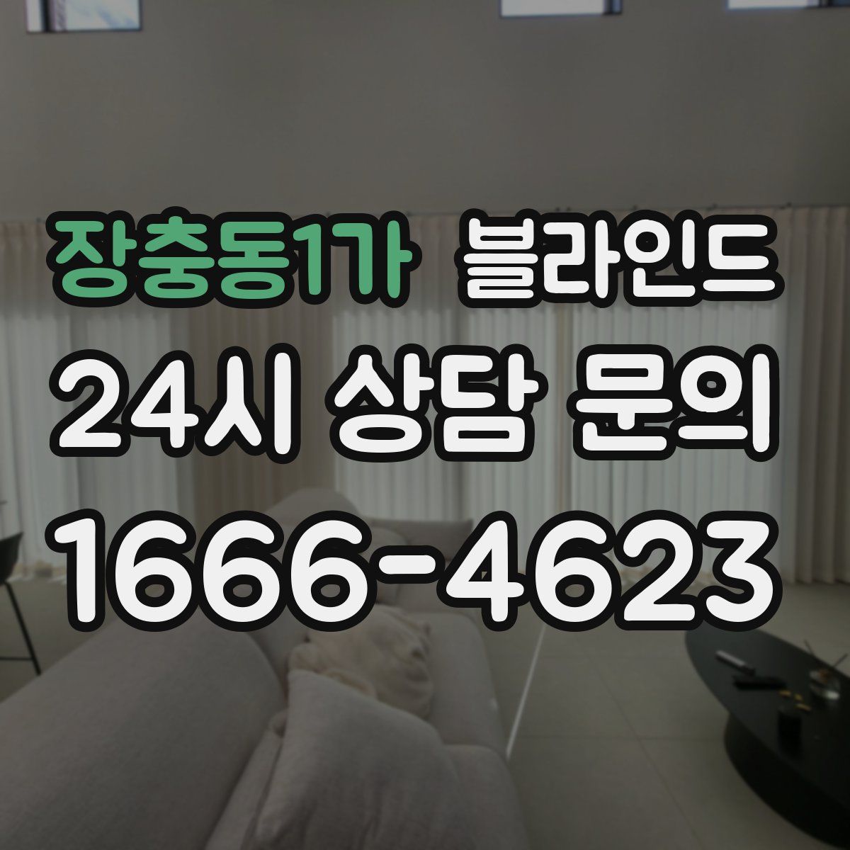 장충동1가 블라인드