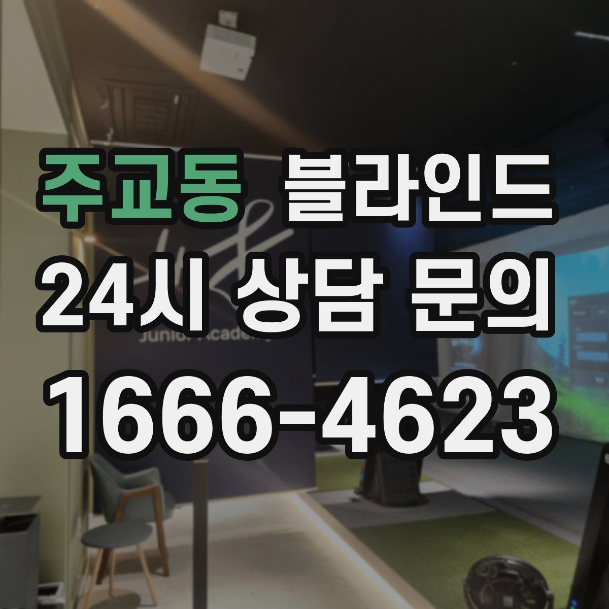주교동 블라인드