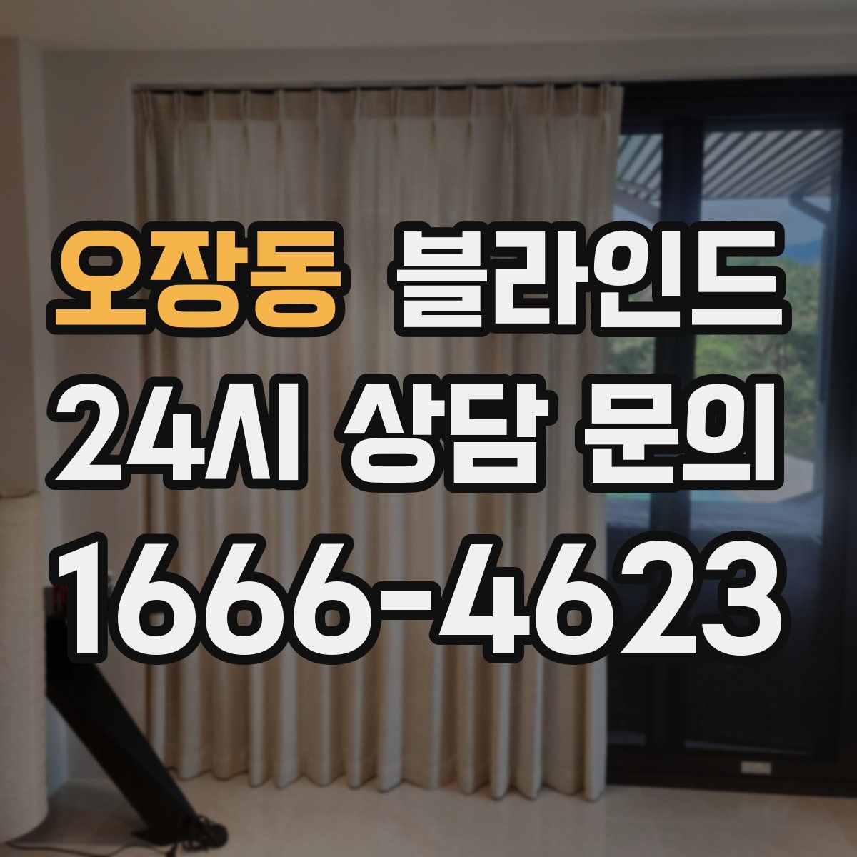 오장동 블라인드
