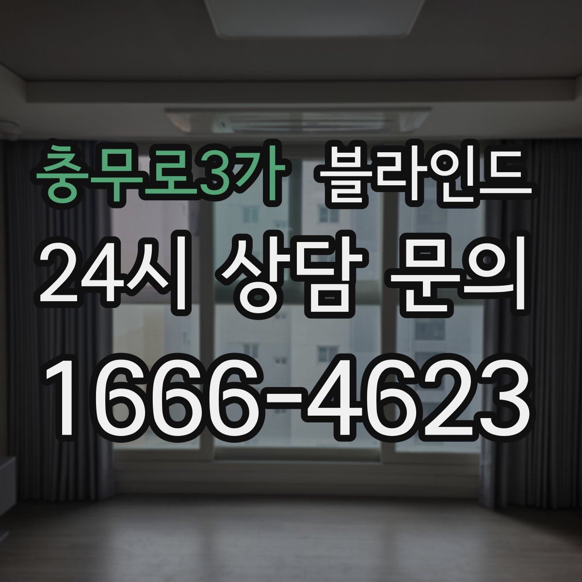충무로3가 블라인드