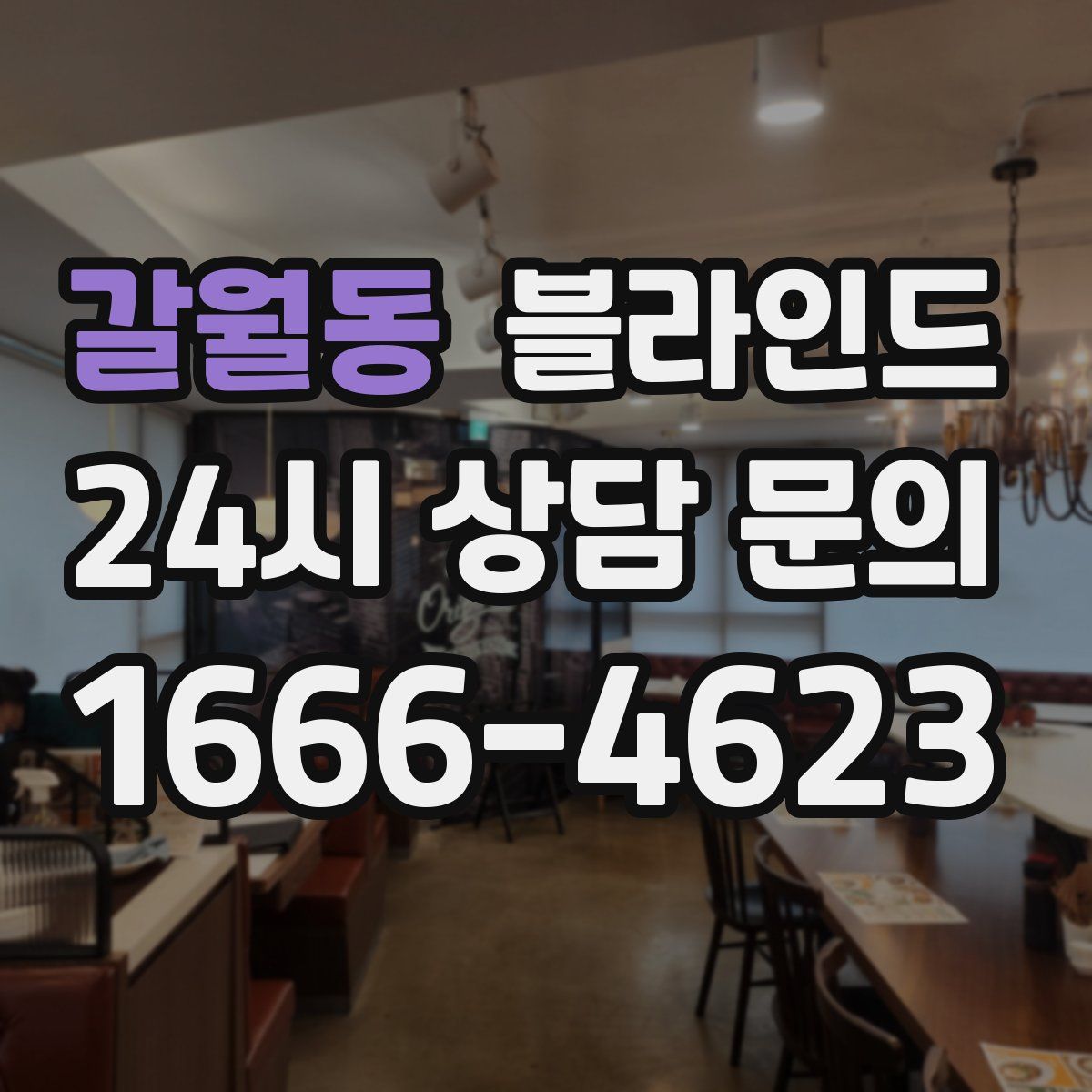 갈월동 블라인드