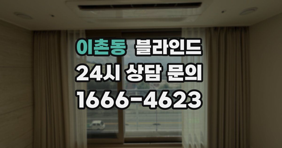 이촌동 블라인드