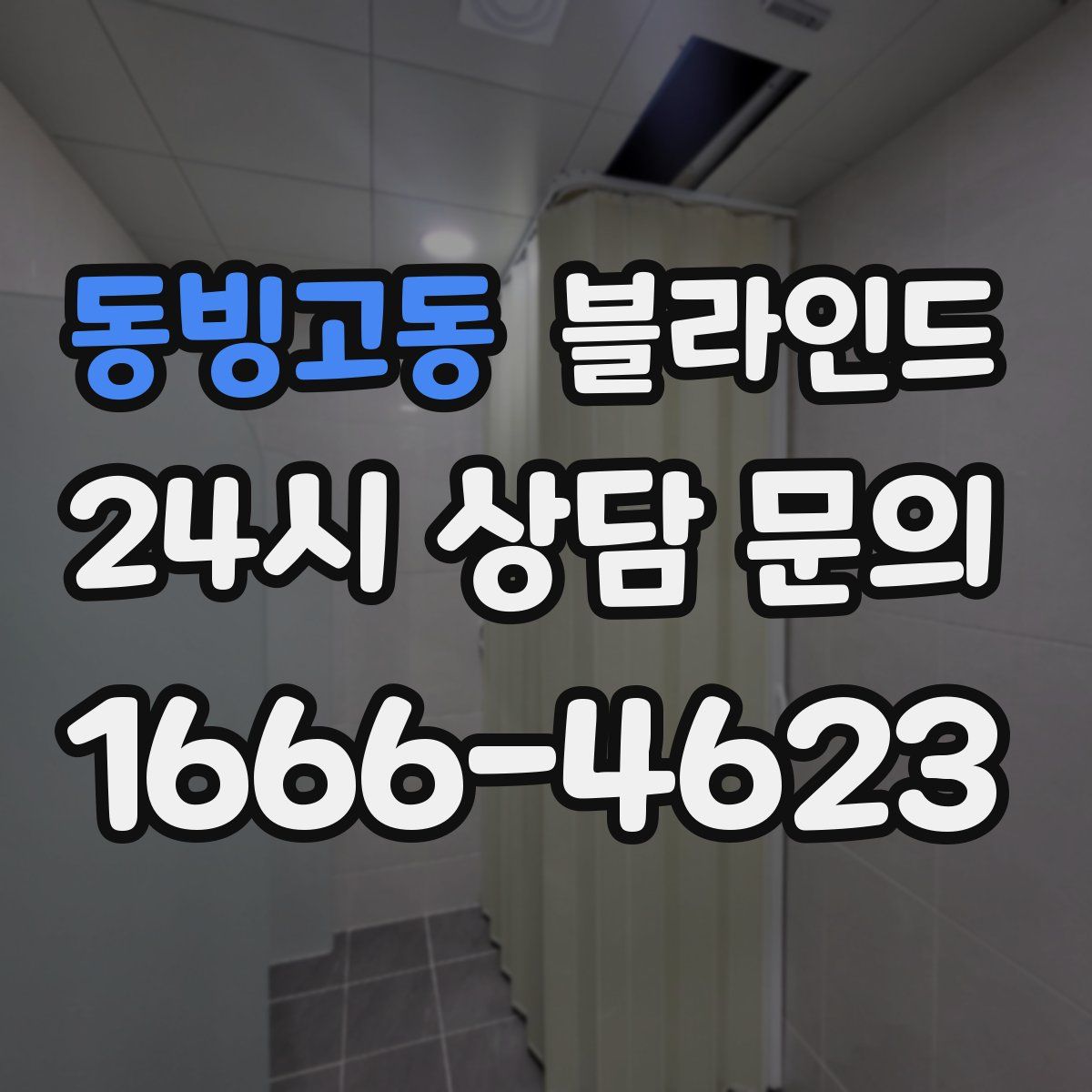 동빙고동 블라인드