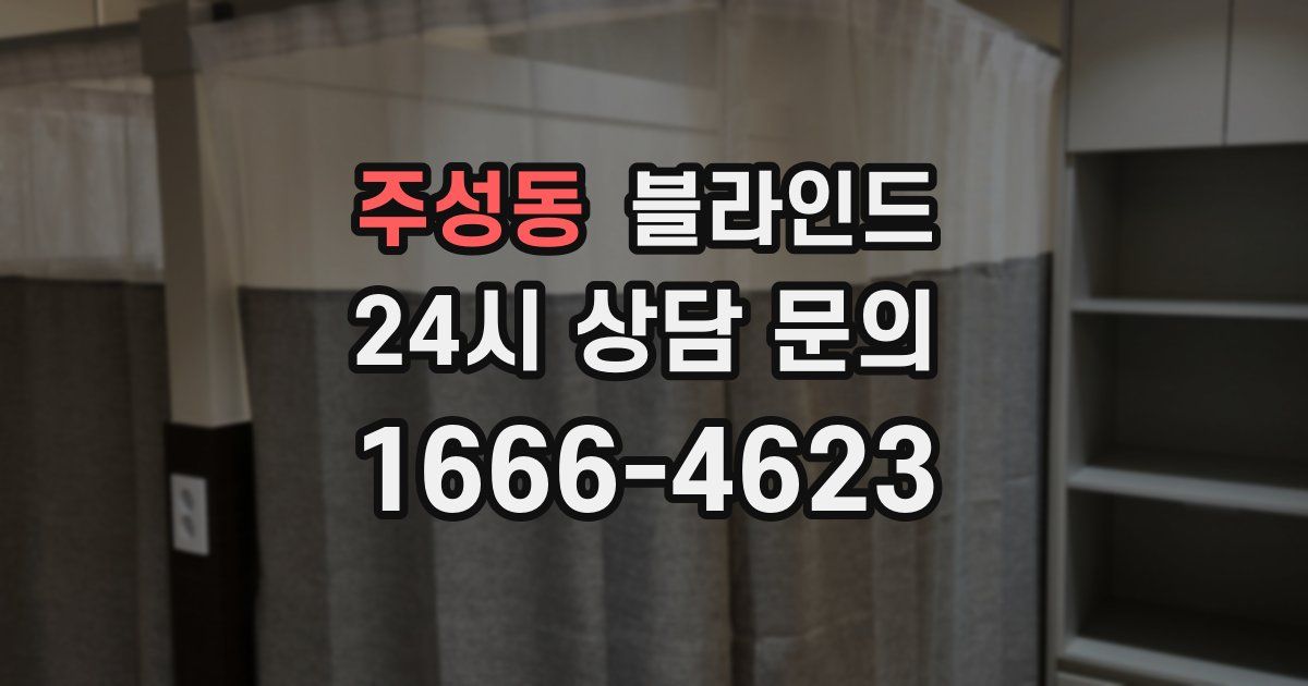 주성동 블라인드