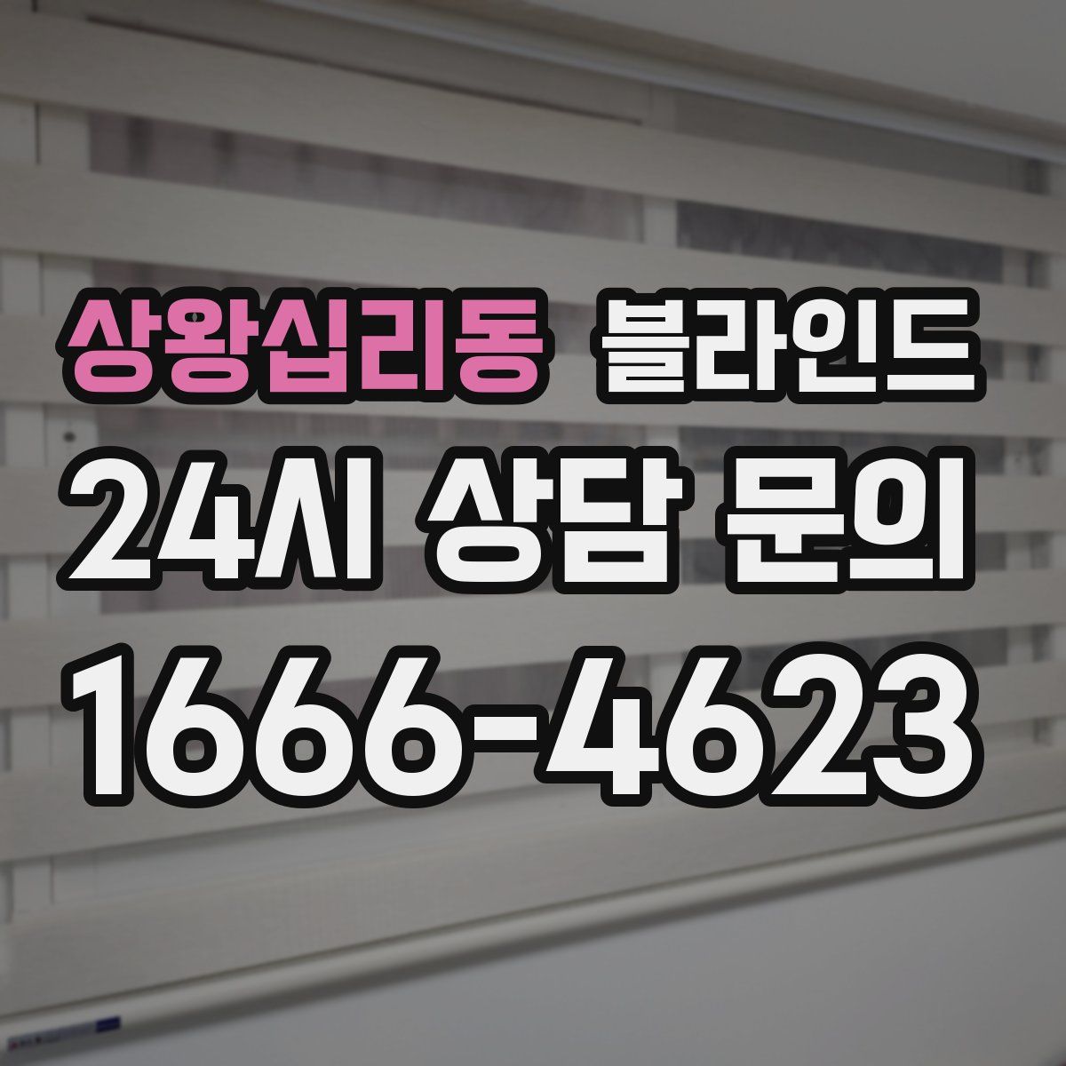 상왕십리동 블라인드