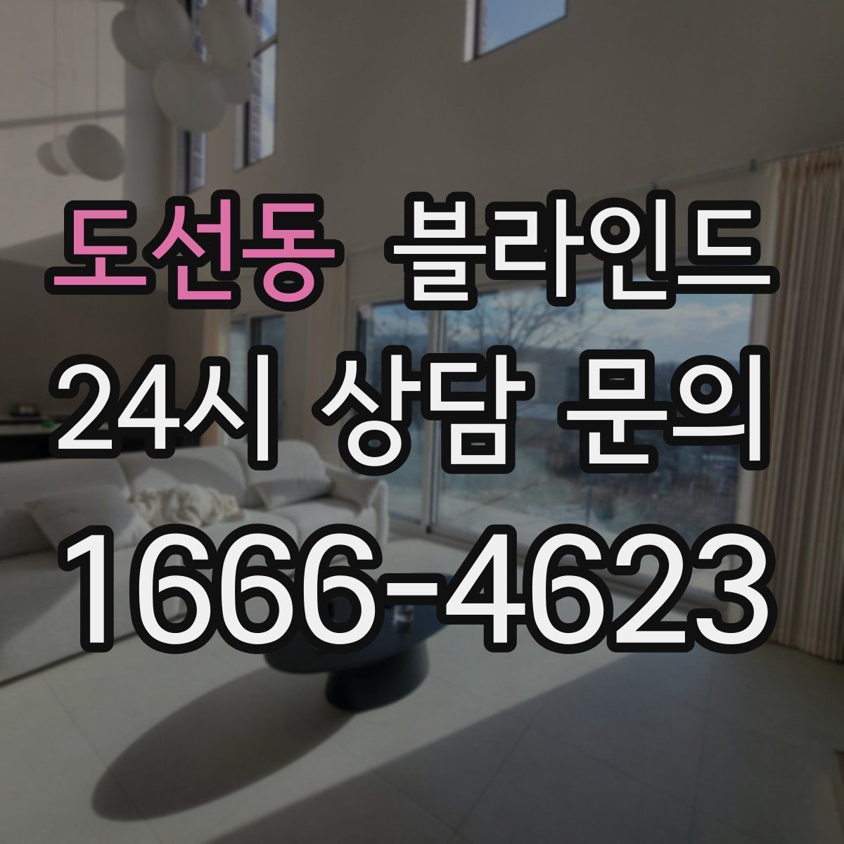 도선동 블라인드