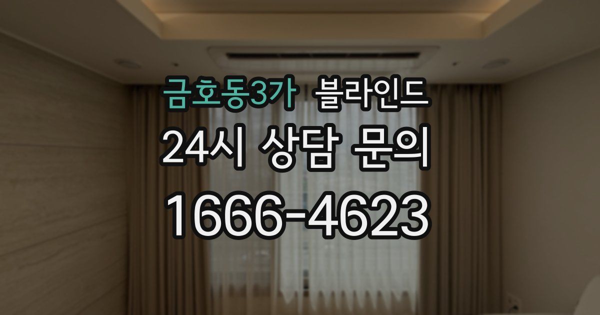 금호동3가 블라인드