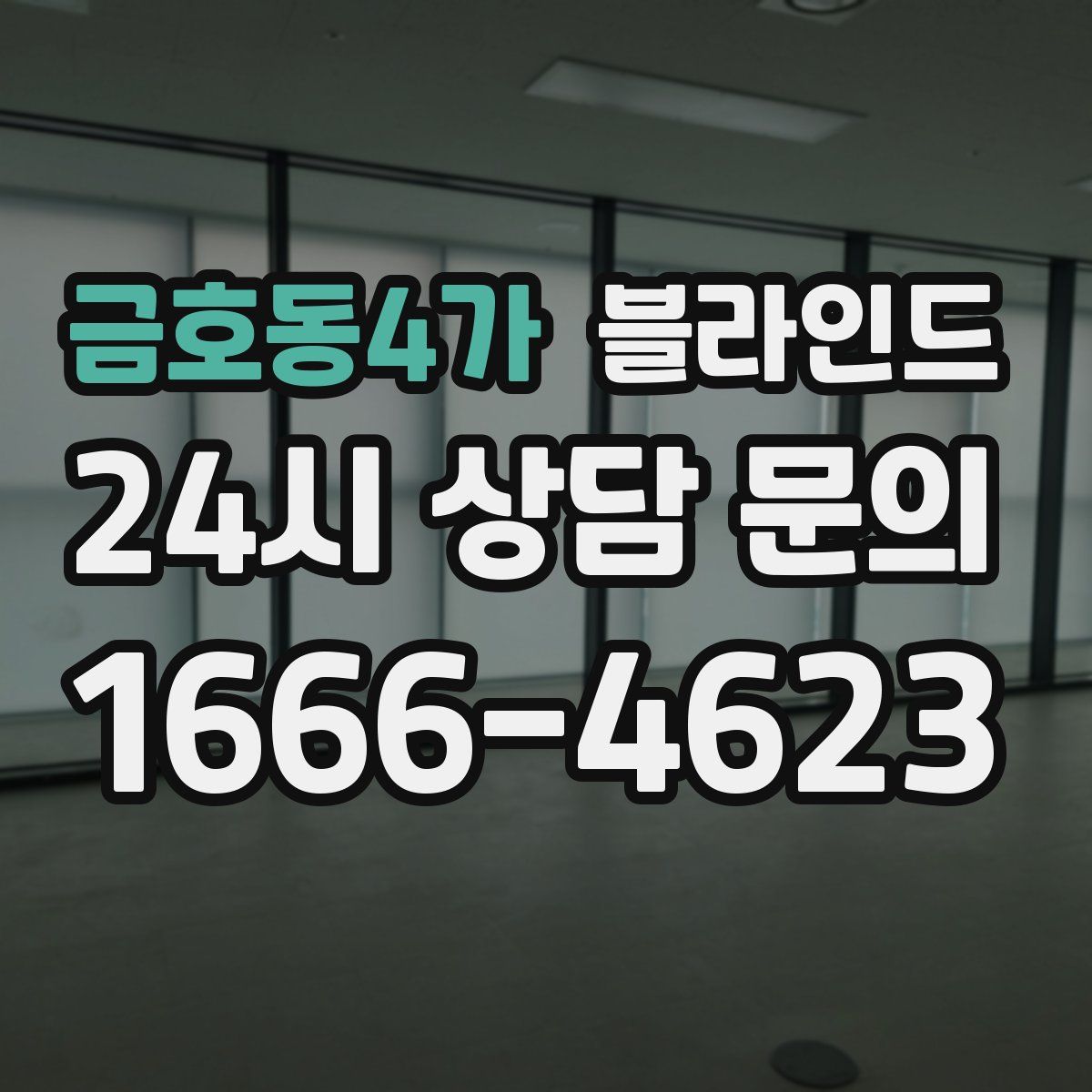 금호동4가 블라인드