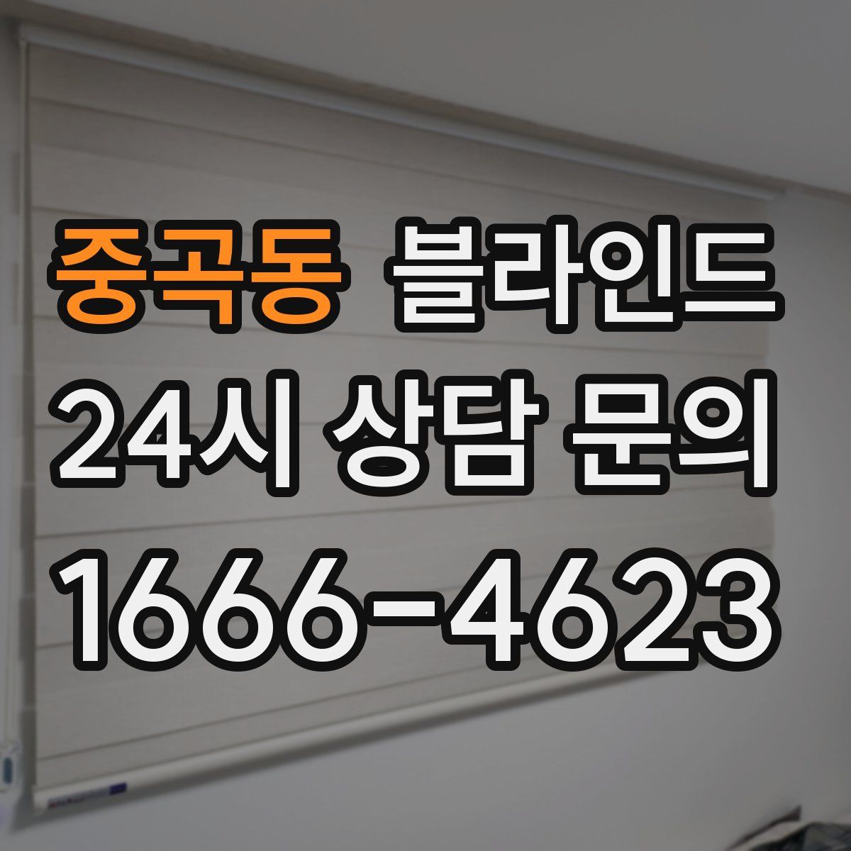 중곡동 블라인드