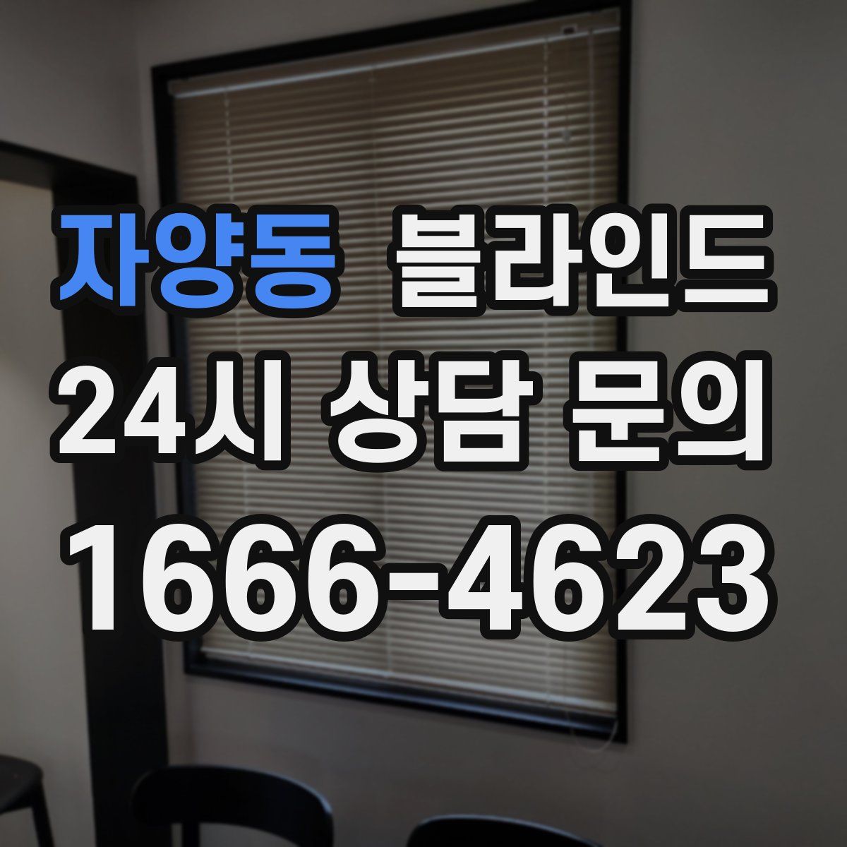 자양동 블라인드