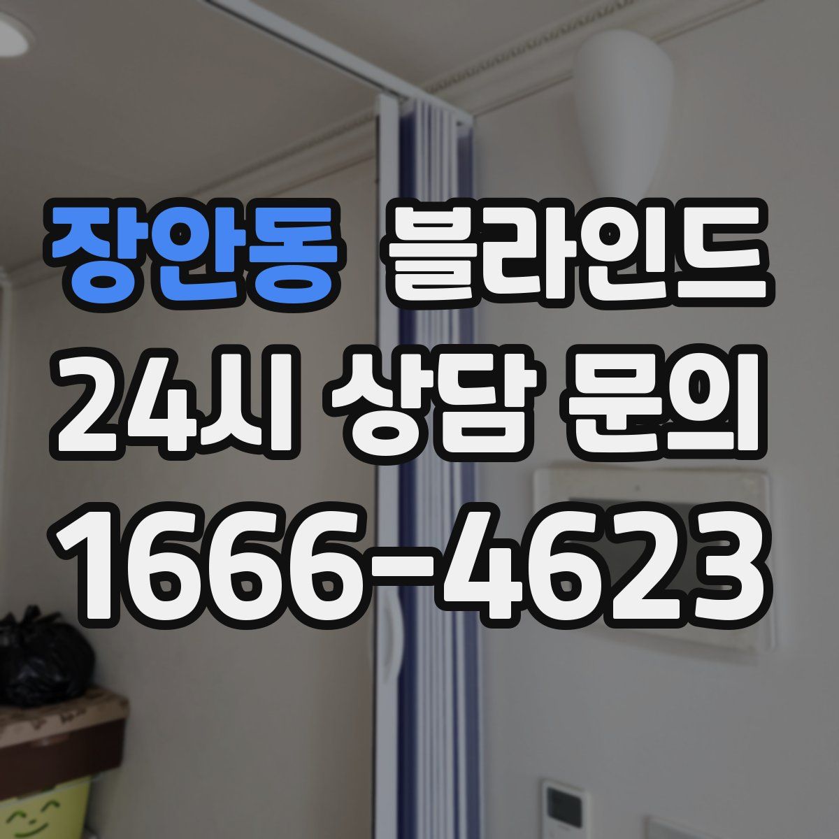 장안동 블라인드
