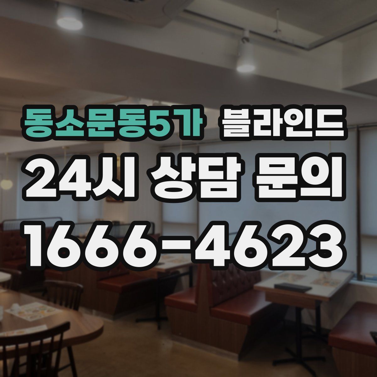 동소문동5가 블라인드