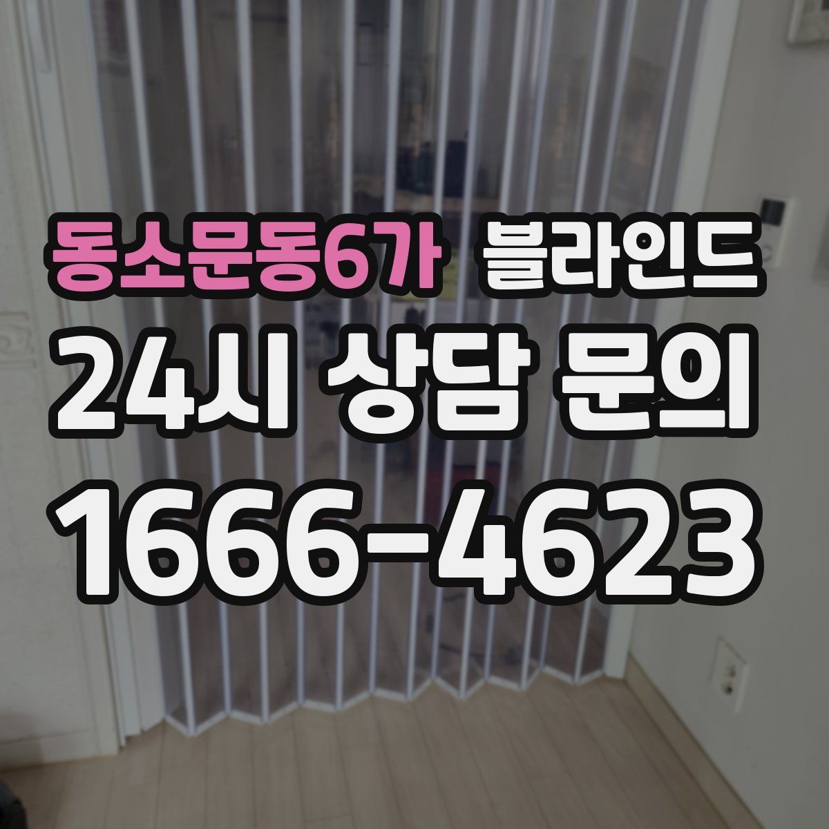 동소문동6가 블라인드