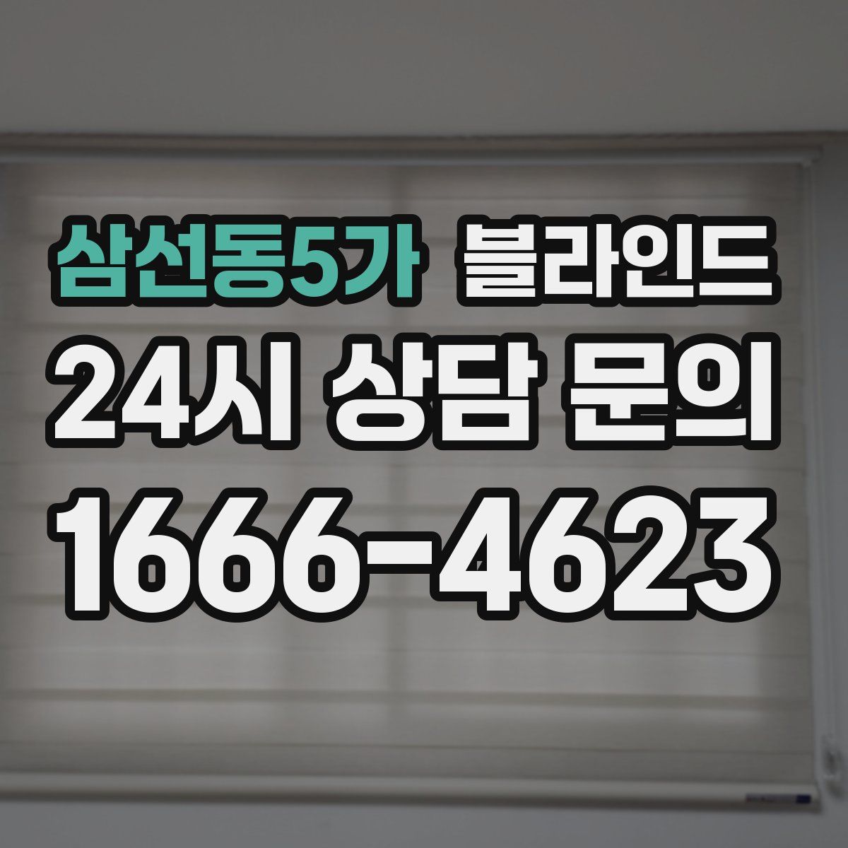 삼선동5가 블라인드