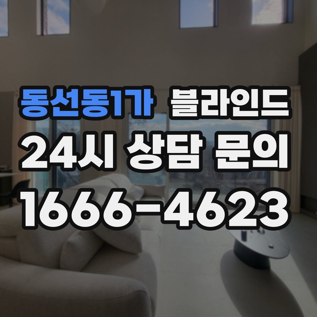 동선동1가 블라인드