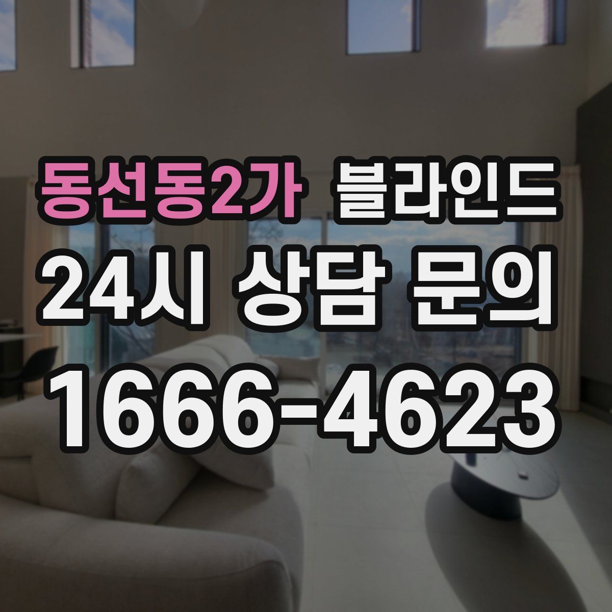 동선동2가 블라인드
