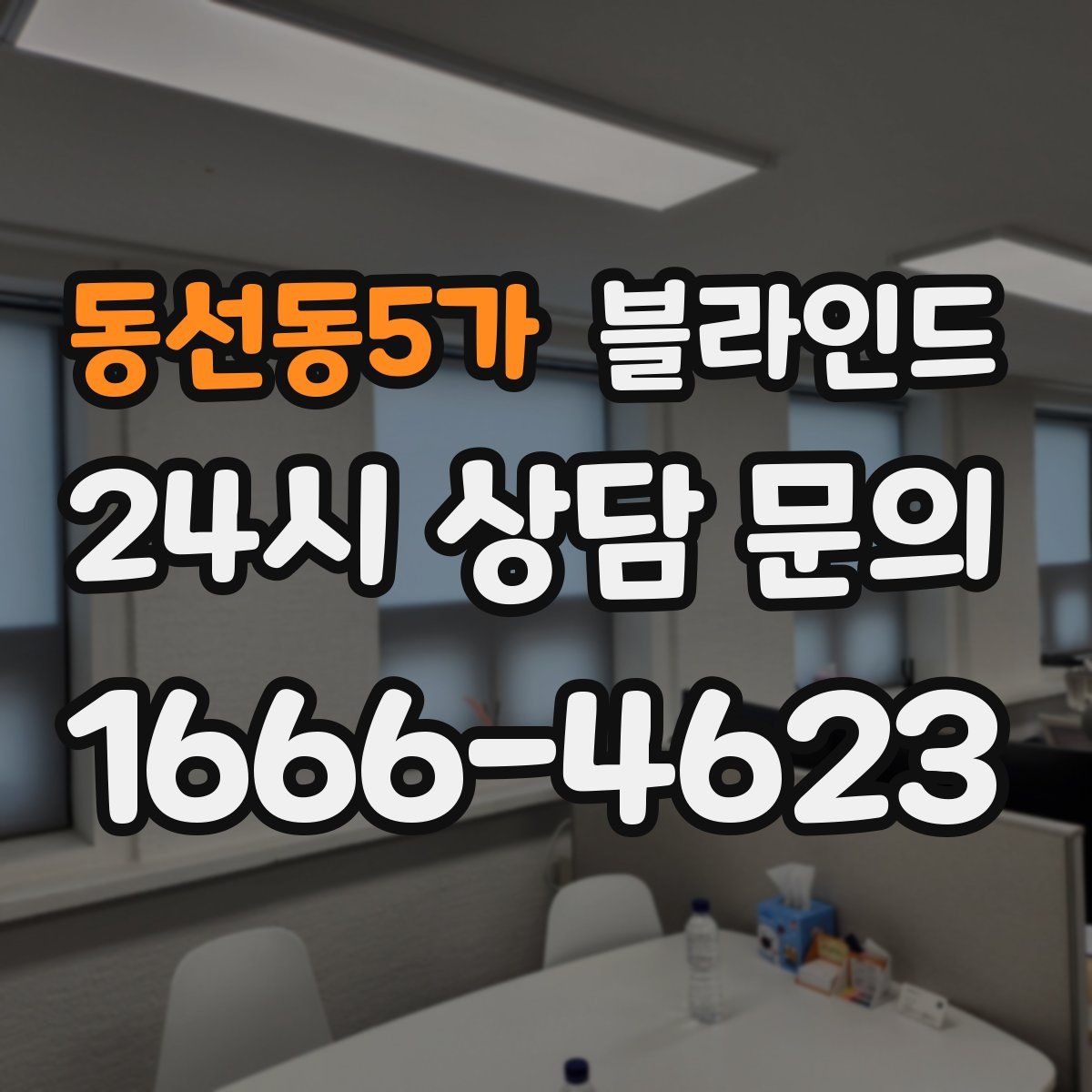 동선동5가 블라인드