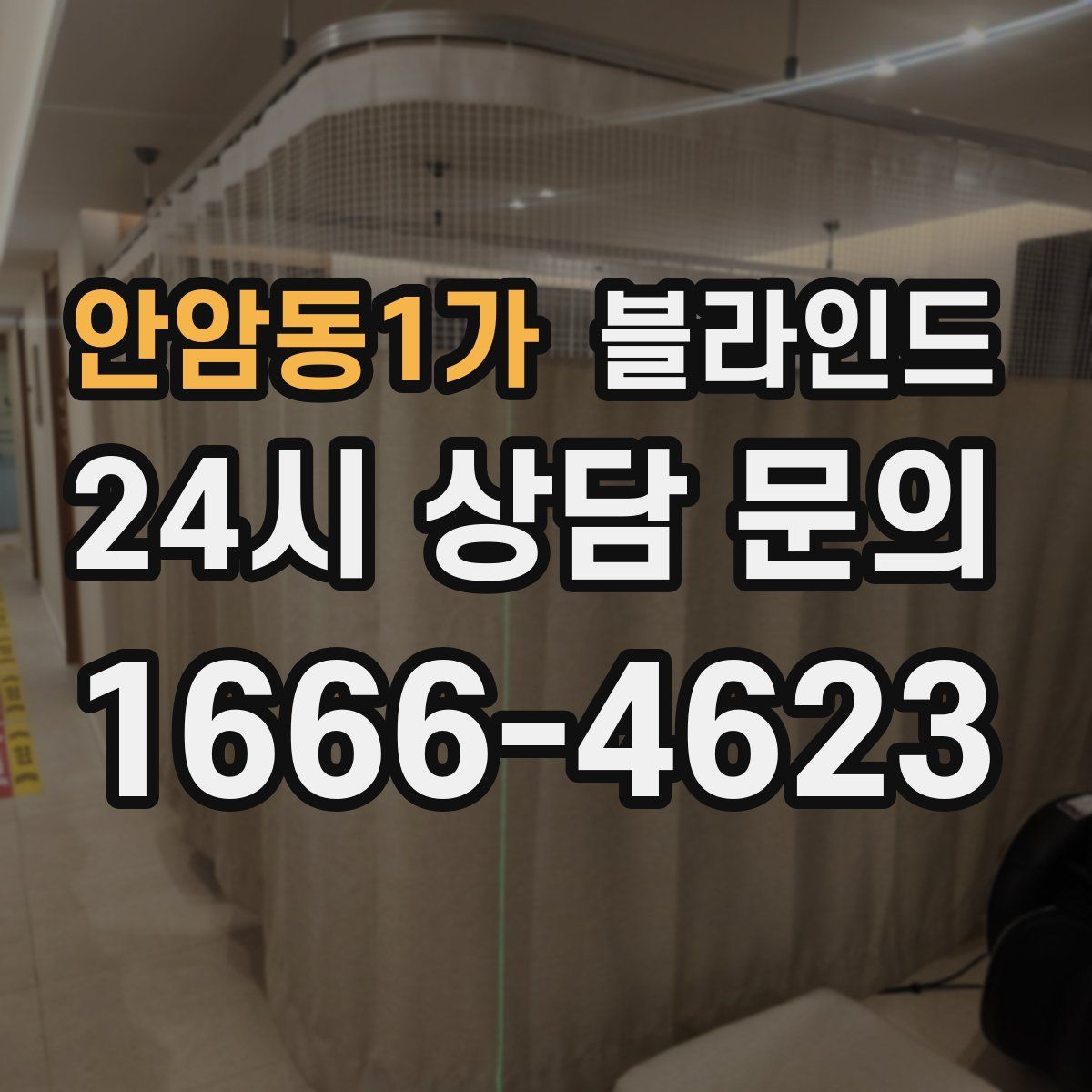 안암동1가 블라인드
