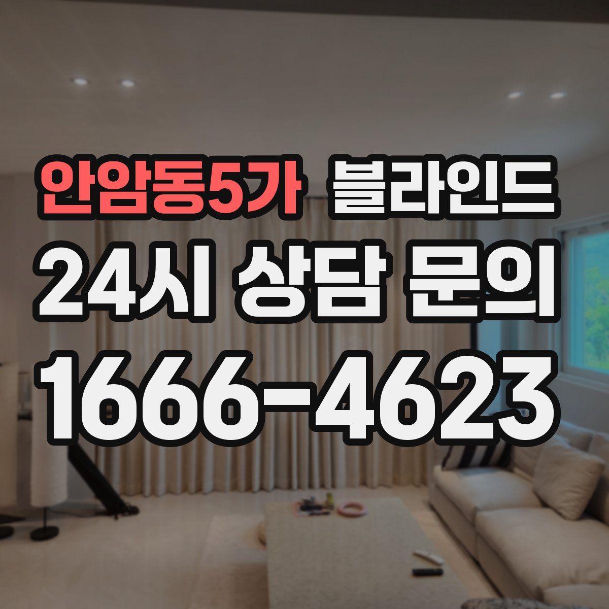 안암동5가 블라인드