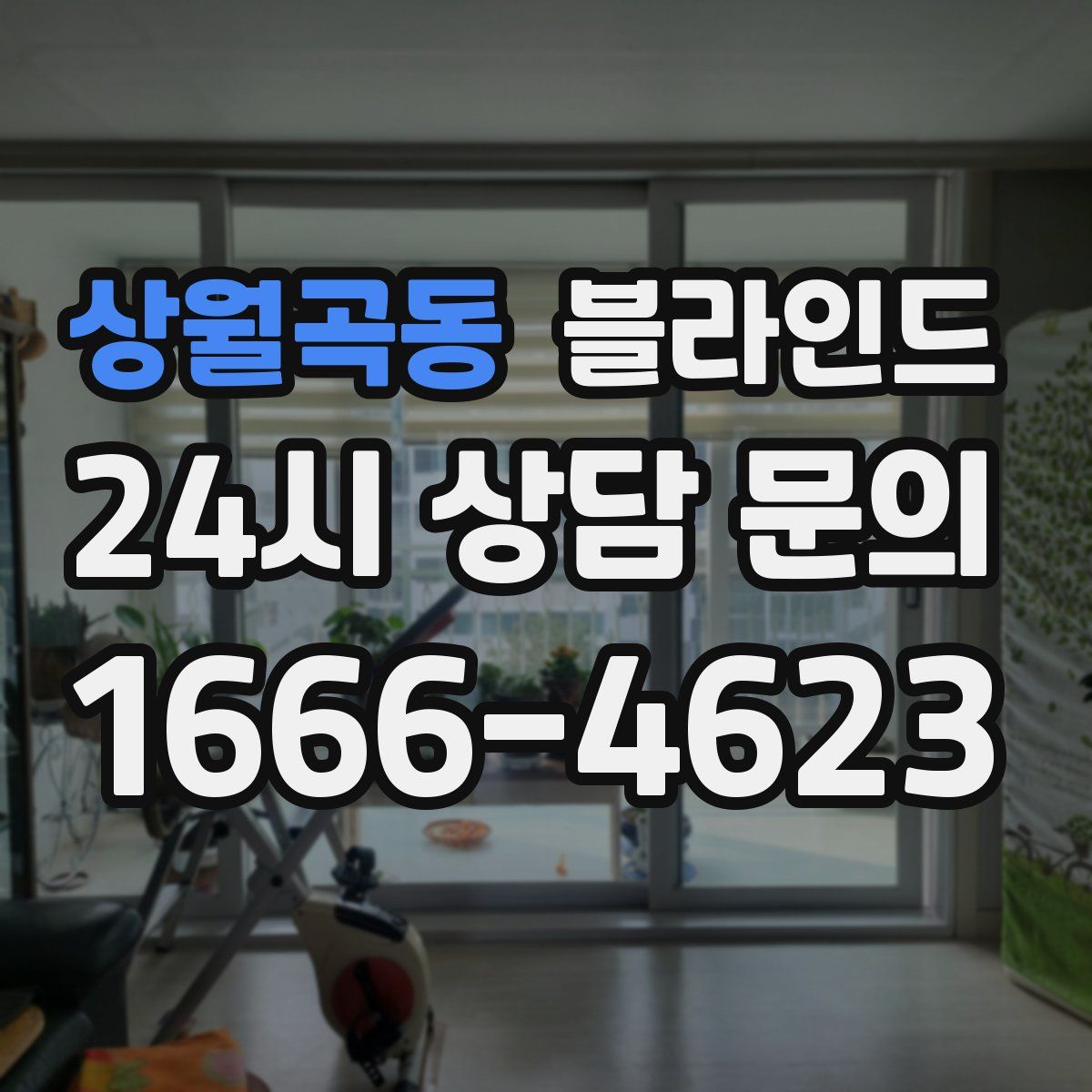 상월곡동 블라인드