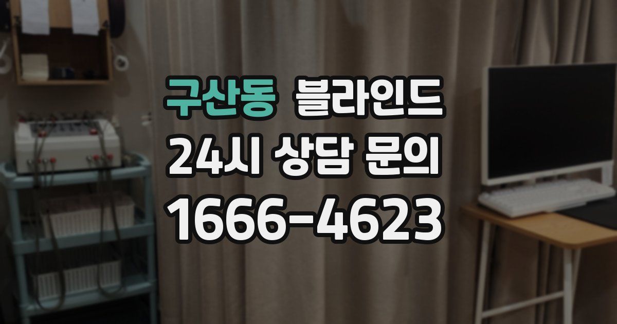 구산동 블라인드