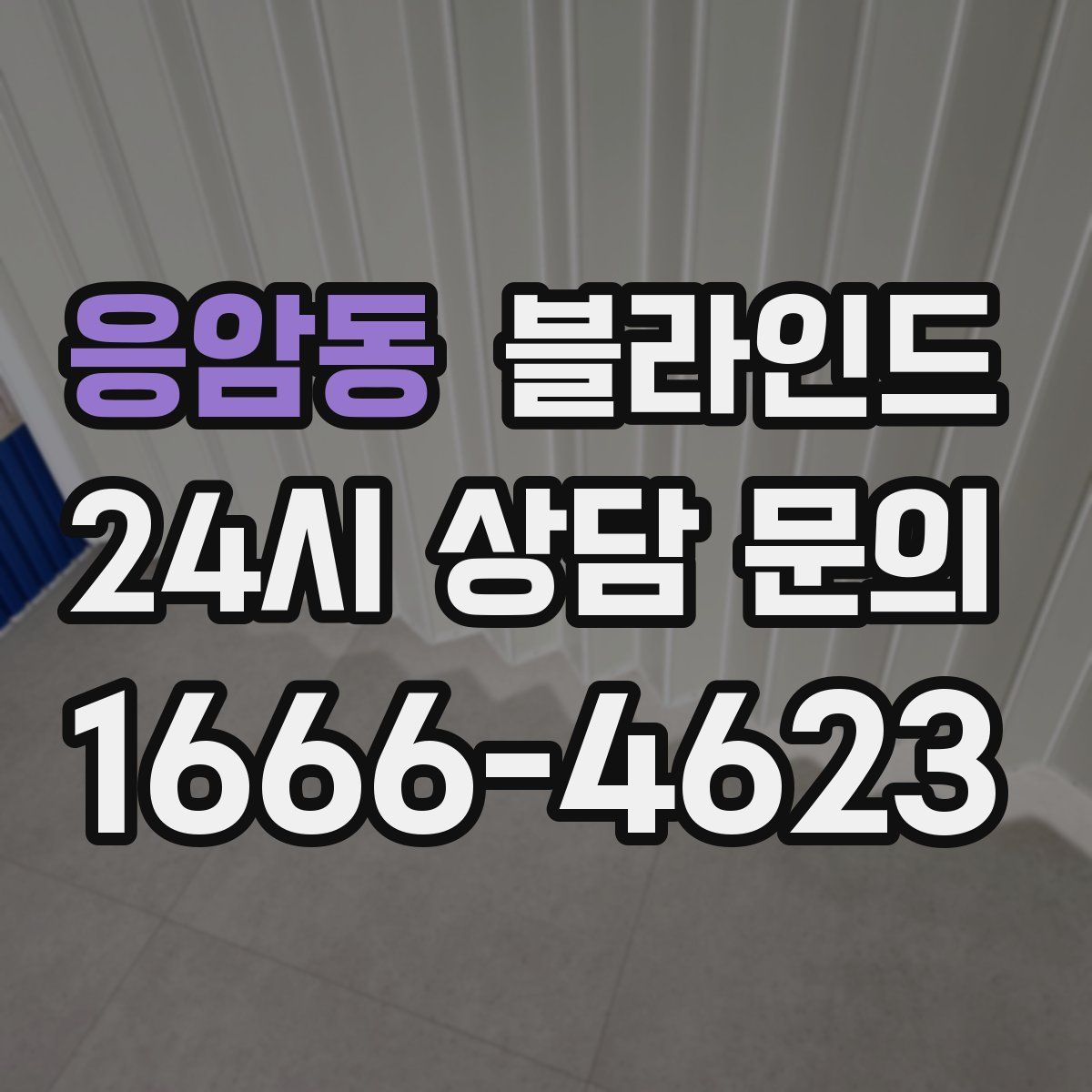 응암동 블라인드