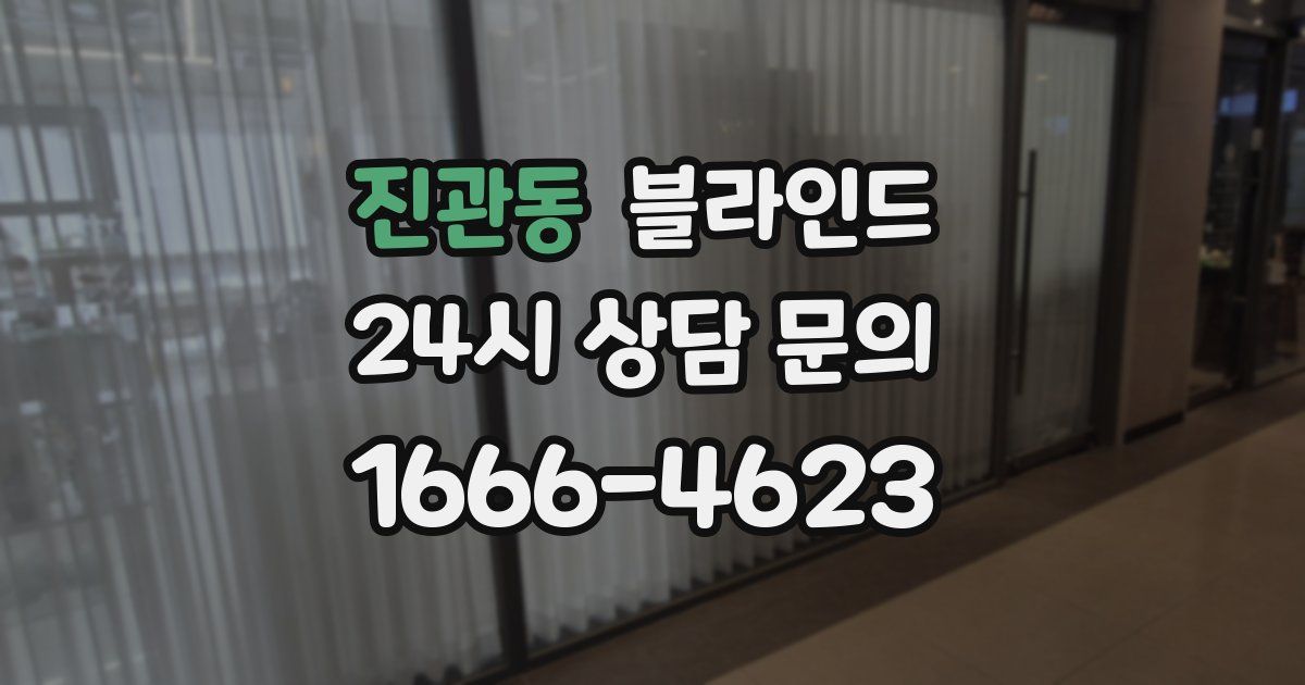진관동 블라인드
