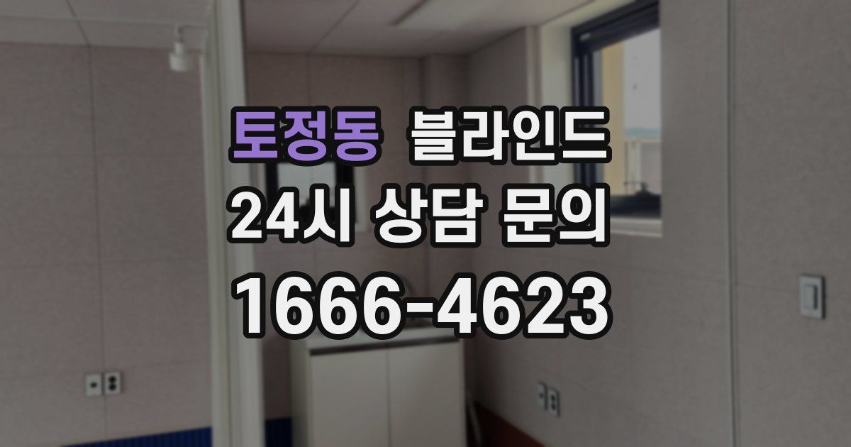 토정동 블라인드