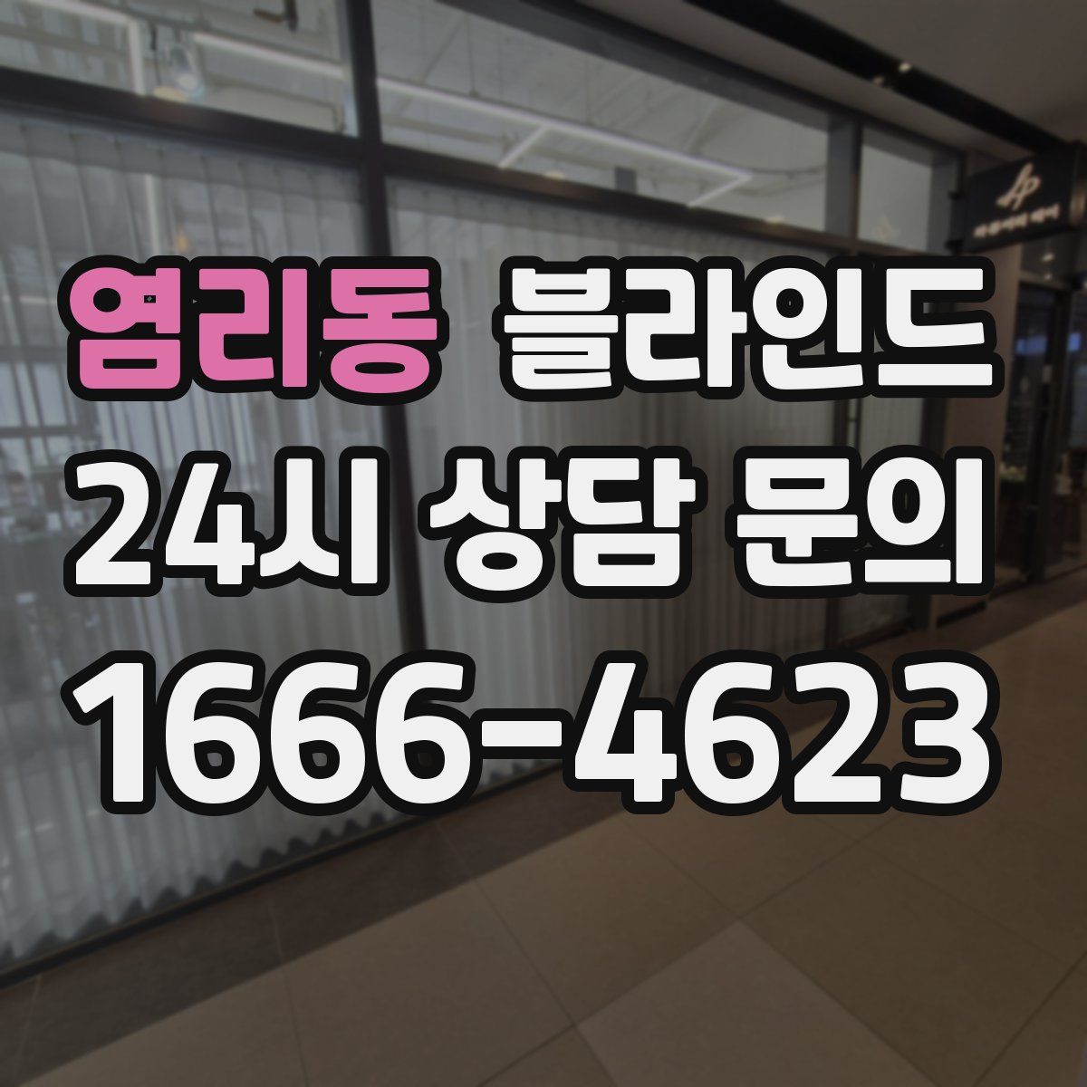염리동 블라인드
