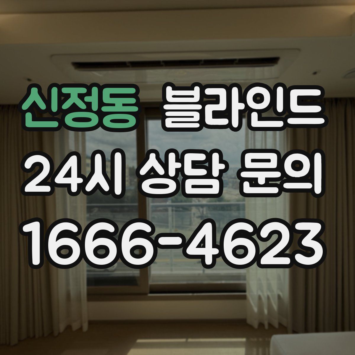 신정동 블라인드