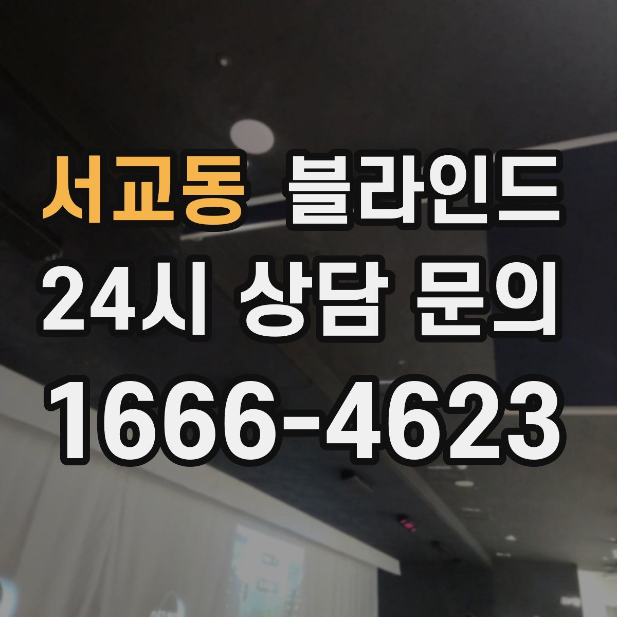 서교동 블라인드