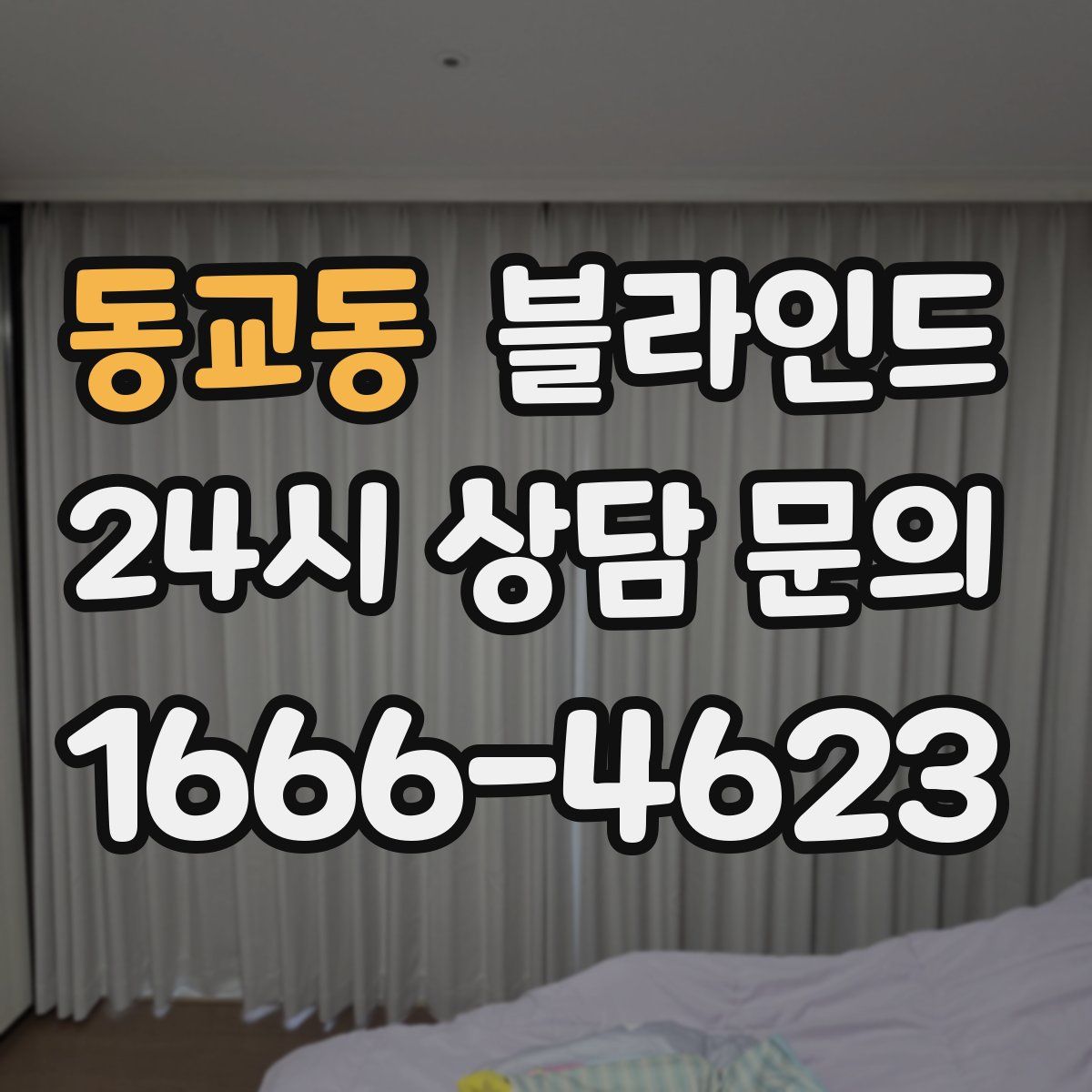 동교동 블라인드