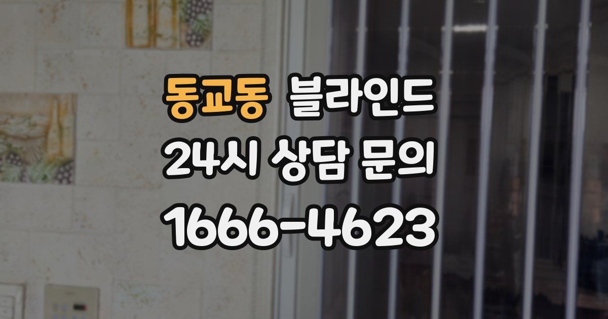 동교동 블라인드