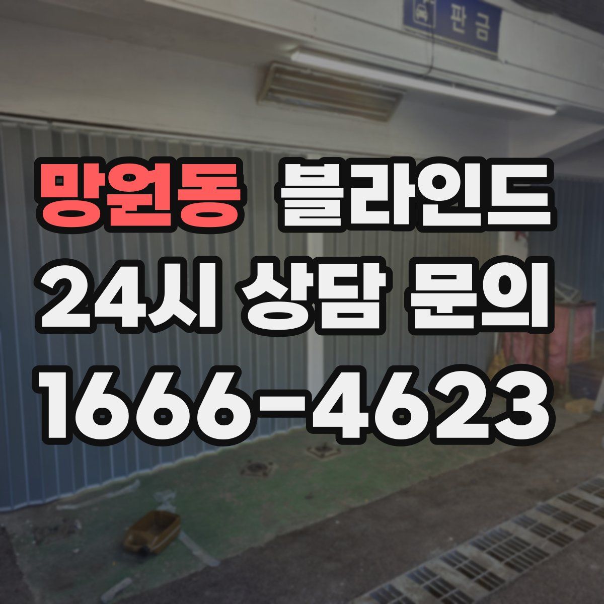 망원동 블라인드