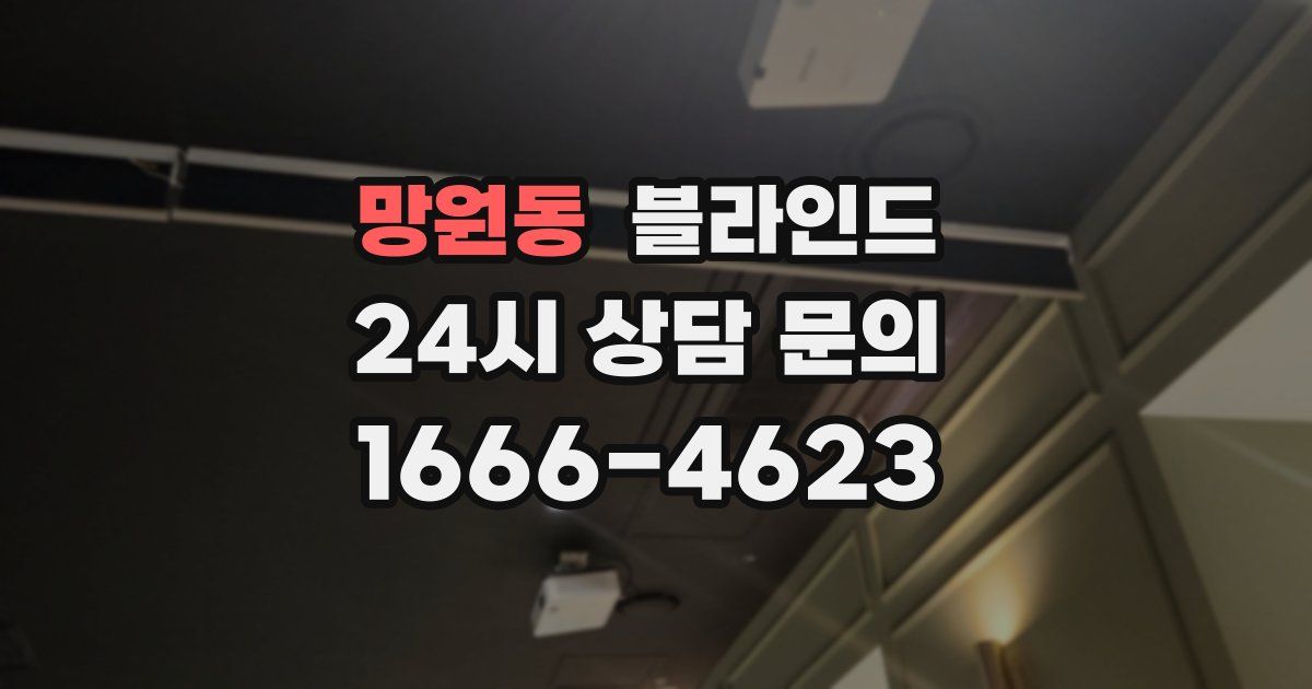 망원동 블라인드