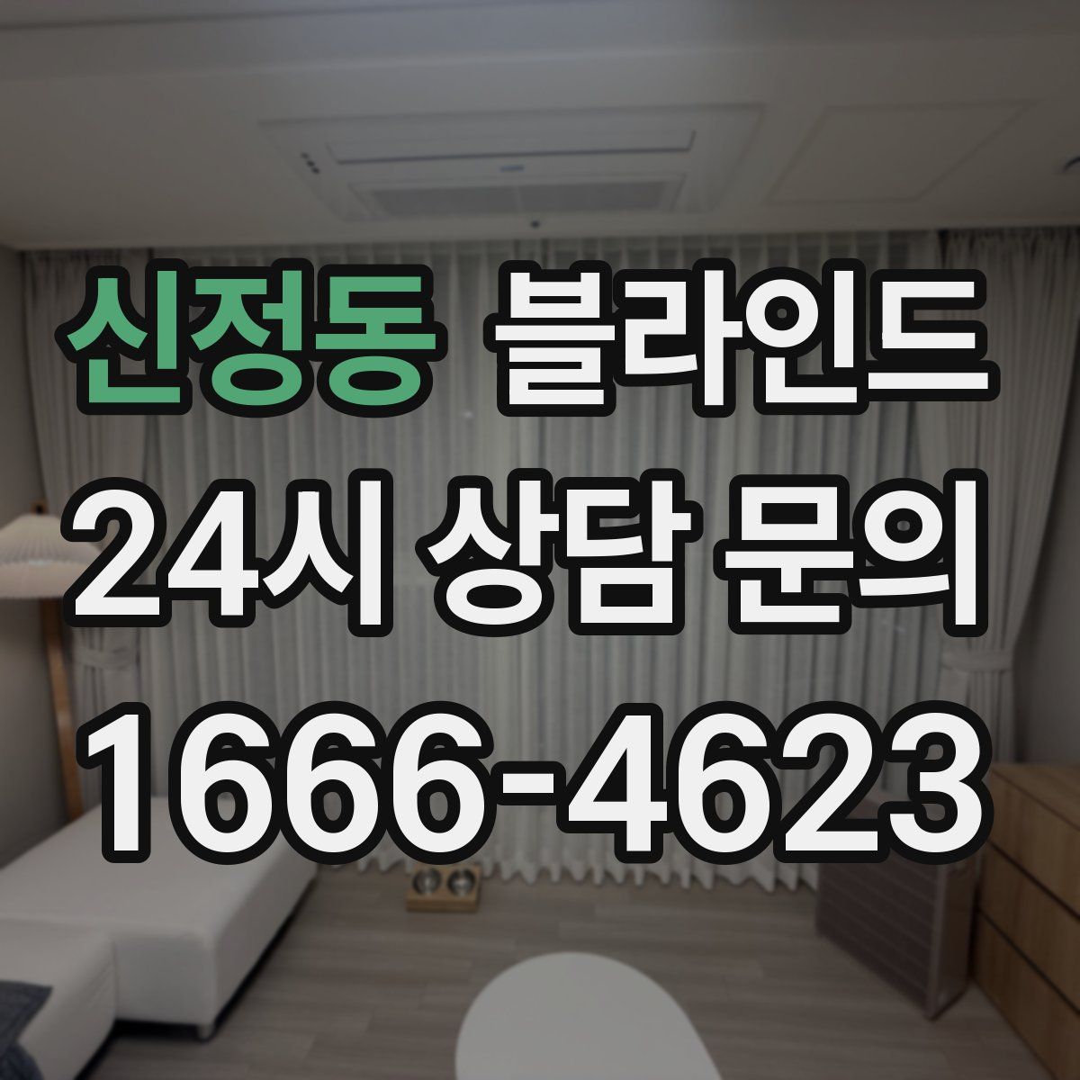 신정동 블라인드