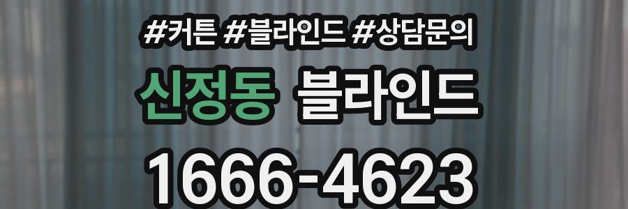 신정동 블라인드