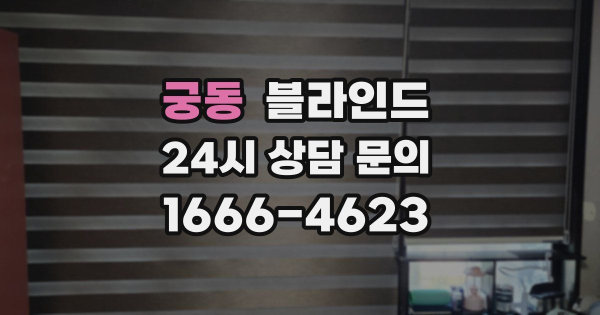 궁동 블라인드